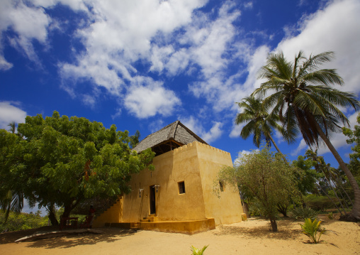 Luxury house in the middle of palm trees, Lamu County, Shela, Kenya