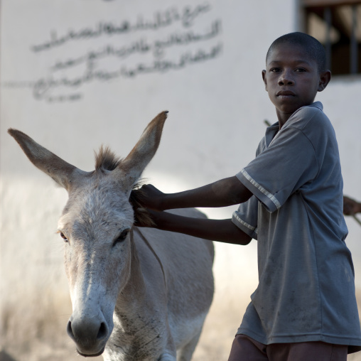 Young boy with his donkey, Lamu County, Lamu, Kenya