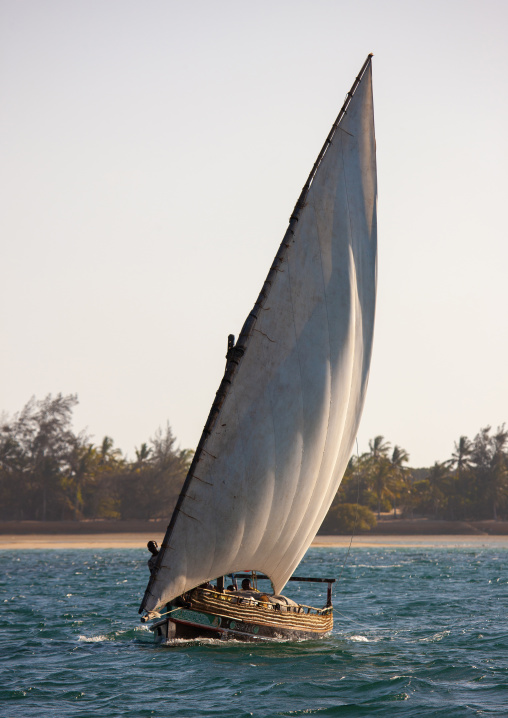 Dhow sailing along the coast, Lamu County, Lamu, Kenya
