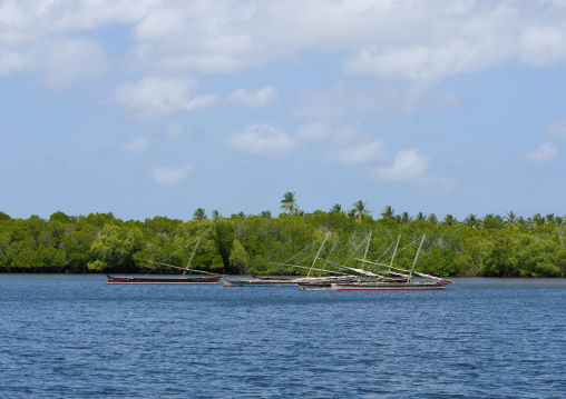 Dhows mooring in channel, Lamu County, Lamu, Kenya