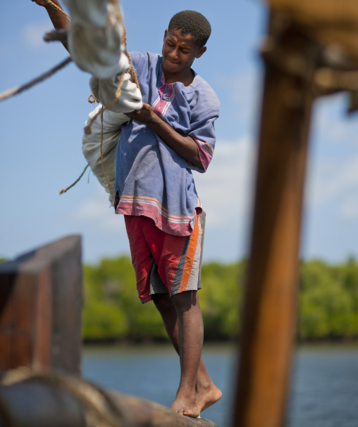 Young man taking care the sail on a dhow, Lamu county, Lamu, Kenya
