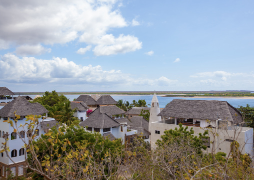 Stone townhouses and luxury mansions with thatched roofs, Lamu County, Shela, Kenya