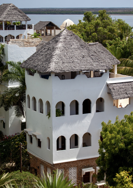 Stone townhouses and luxury mansions with thatched roofs, Lamu County, Shela, Kenya