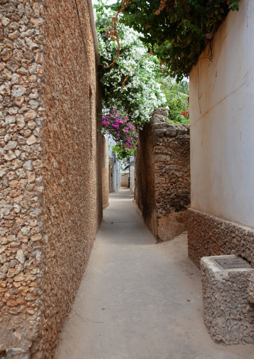 Alley in the village, Lamu County, Shela, Kenya