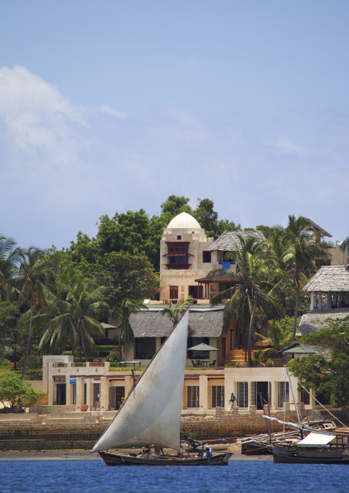 Dhow sailing along the coast, Lamu County, Shela, Kenya