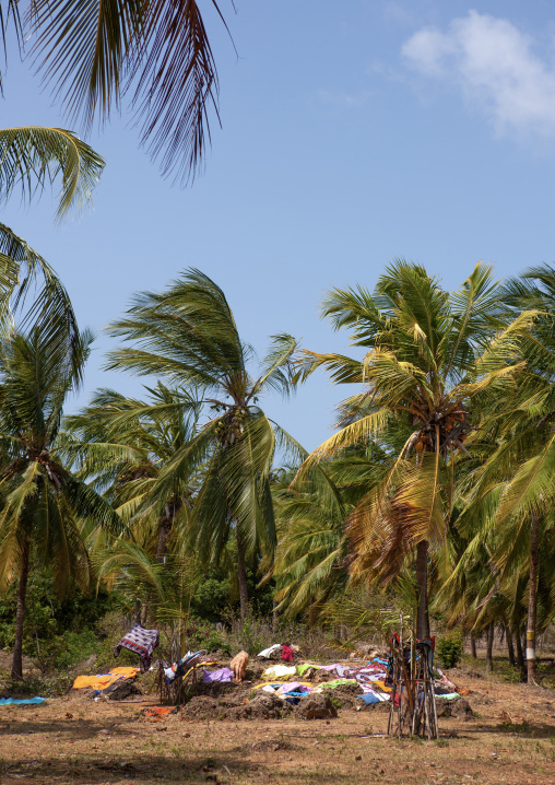 Clothes drying in the sun in a village, Lamu County, Siyu, Kenya