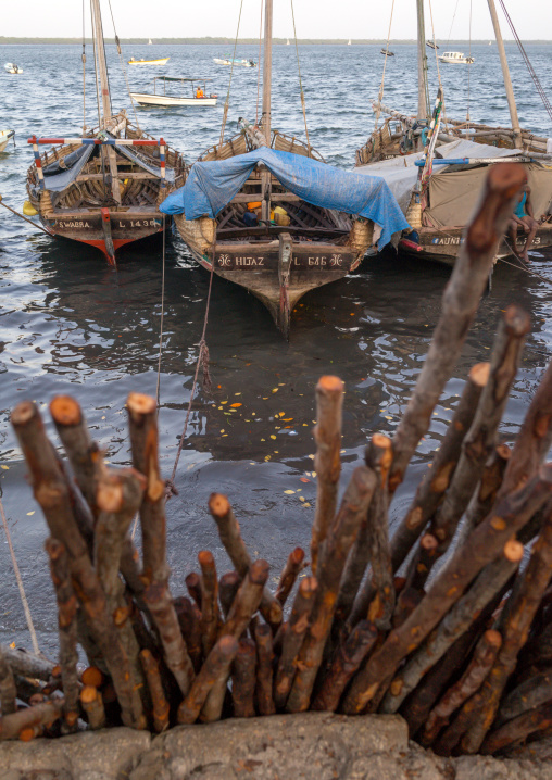Dhows standing by the dockside, Lamu county, Lamu town, Kenya