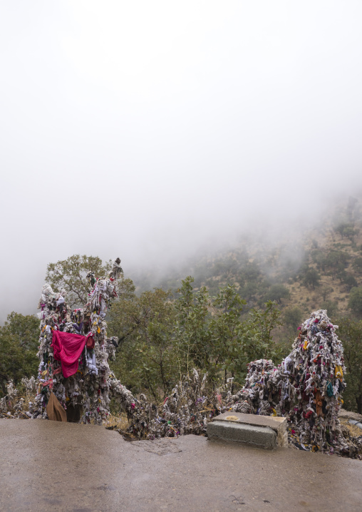 Pieces Of Material  Attached To Branches By Yezedis On A Fertility Tree, Lalesh Temple, Kurdistan, Iraq