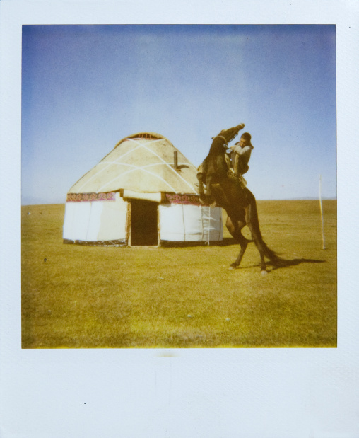 Picture Of A Horseman On His Horse Rearing Up In Front Of His Hut, Song Kol Lake Area, Kyrgyzstan