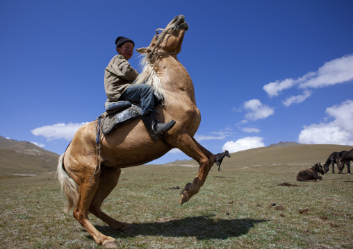 Horseman Rearing Up His Horse, Song Kol Lake Area, Kyrgyzstan