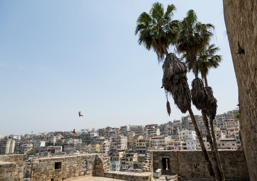 View of the town seen from the citadel of Raymond de Saint Gilles, North Governorate, Tripoli, Lebanon