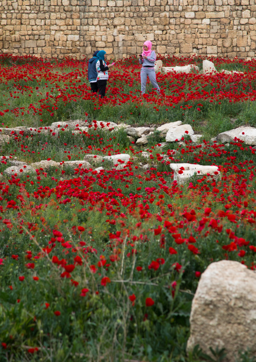 Women taking pictures in a field full of poppies and ruins, Beqaa Governorate, Baalbek, Lebanon