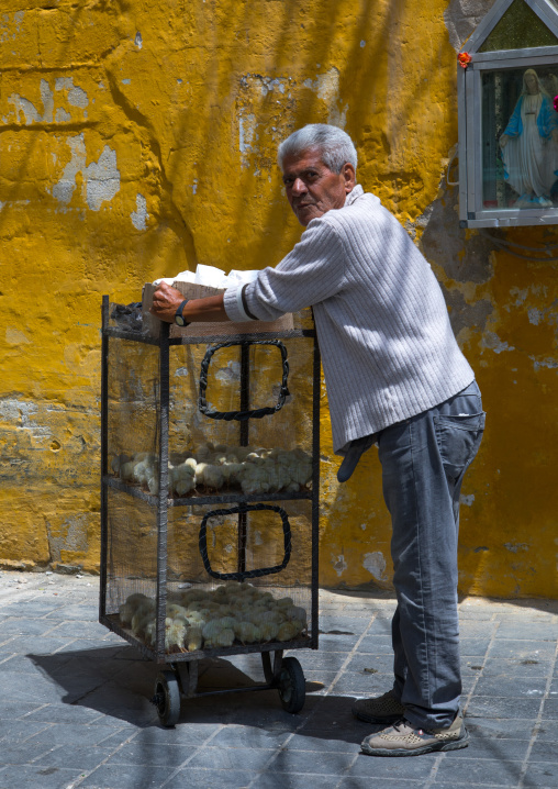 Old man selling chicks in the street, South Governorate, Tyre, Lebanon