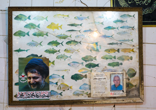 Fish species chart with a Hezbollah leader, South Governorate, Tyre, Lebanon