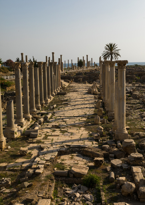 Roman road in al-Mina archaeological site, South Governorate, Tyre, Lebanon