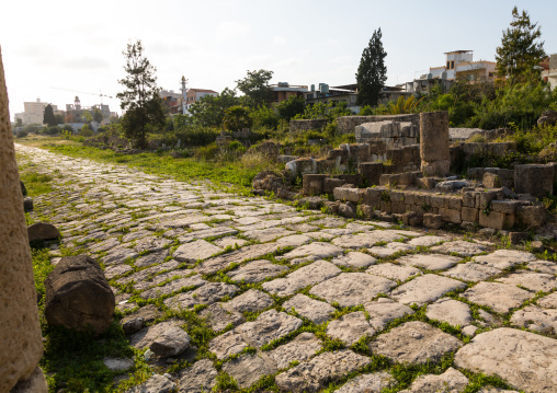 Old roman road in al Bass site, South Governorate, Tyre, Lebanon