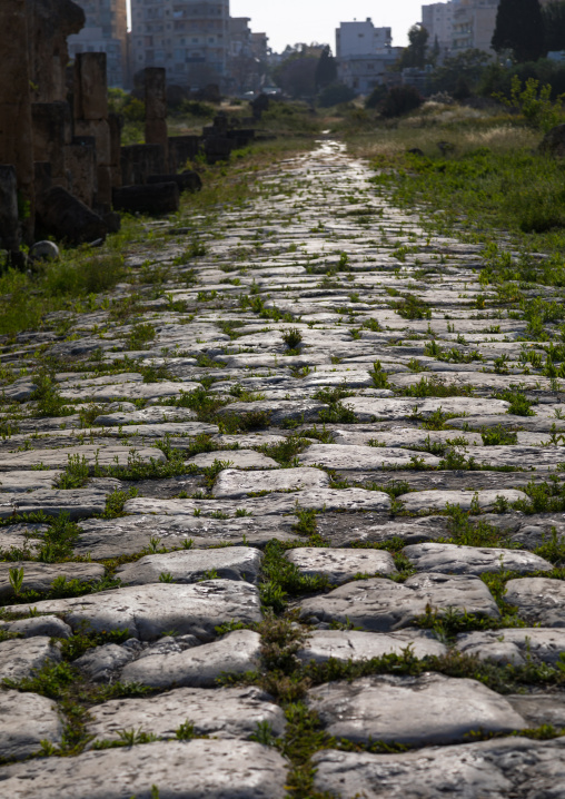 Old roman road in al Bass site, South Governorate, Tyre, Lebanon