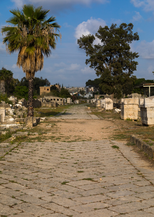 Roman triumphal arch and colonnaded street in al Bass site, South Governorate, Tyre, Lebanon
