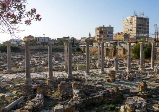 Al-Mina archaeological site in front of new buildings, South Governorate, Tyre, Lebanon