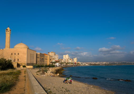 Mosque and cityscape, South Governorate, Tyre, Lebanon
