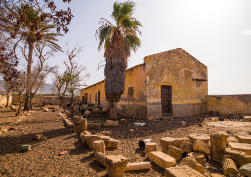 Old italian colonial building, Cyrenaica, Ptolemais, Libya