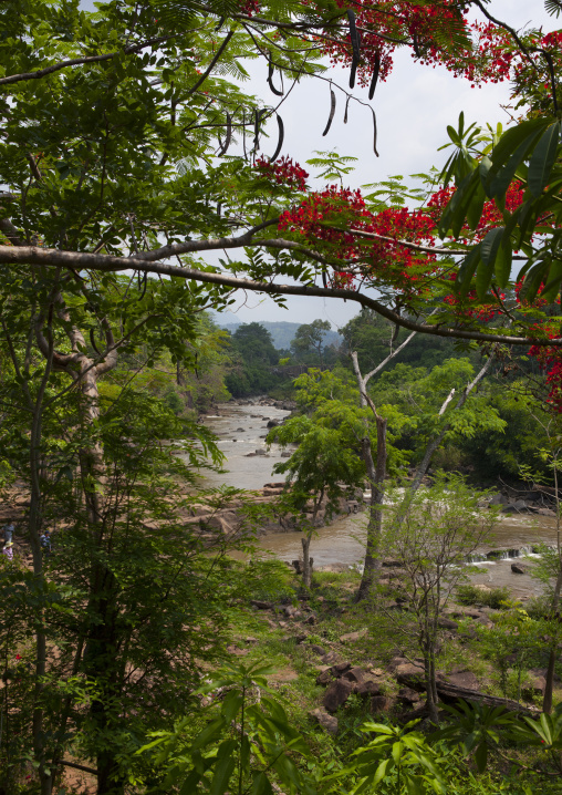 Tadfan waterfalls, Boloven, Laos