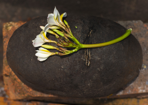 Flower tributes at wat phu, Champasak, Laos
