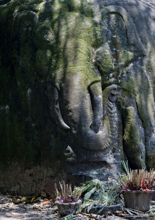 Elephant carving at wat phu khmer temple, Champasak, Laos