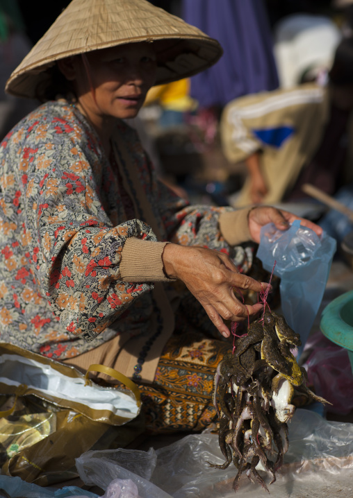 Woman selling frogs in a market, Pakse, Laos