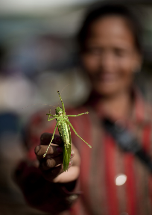 Woman holding a grasshopper, Pakse, Laos
