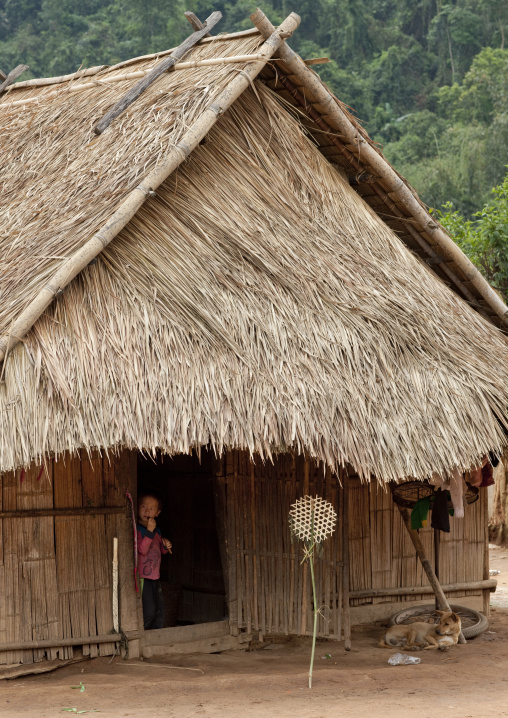 Hmong house with shaman warning sign, Muang sing, Laos