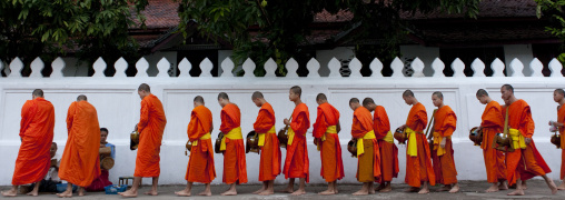 Lao buddhist monks collecting alms, Luang prabang, Laos