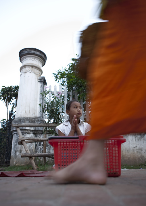 Lao buddhist monks collecting alms in luang prabang, Laos