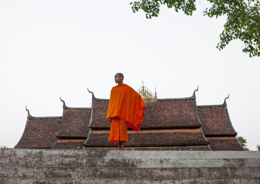 Monk in temple vat xieng thong, Luang prabang, Laos