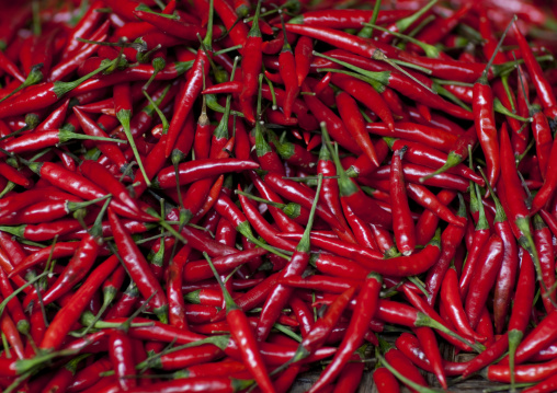 Red chilli pepper, Vientiane, Laos