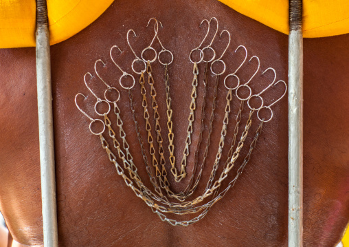 Hindu Devotee In Thaipusam Religious Festival In Batu Caves With His Back Pierced With Hooks And Chains, Southeast Asia, Kuala Lumpur, Malaysia