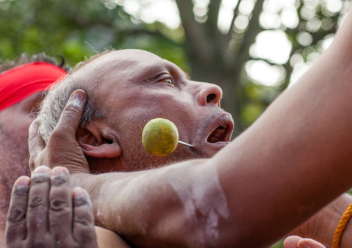 A Devotee Cheek Is Pierced With A Skewer By A Priest At Thaipusam Hindu Festival At Batu Caves, Southeast Asia, Kuala Lumpur, Malaysia