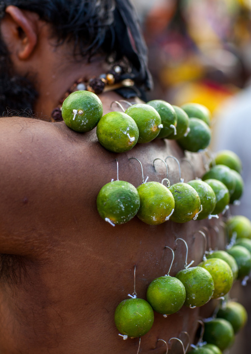 A Pierced Devotee Laden With Lemons On His Back During The Thaipusam Hindu Festival At Batu Caves, Southeast Asia, Kuala Lumpur, Malaysia