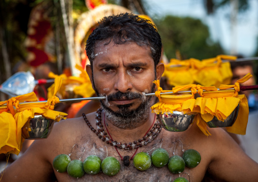 A Pierced Devotee Laden With Lemons On His Chest During The Thaipusam Hindu Festival At Batu Cave, Southeast Asia, Kuala Lumpur, Malaysia