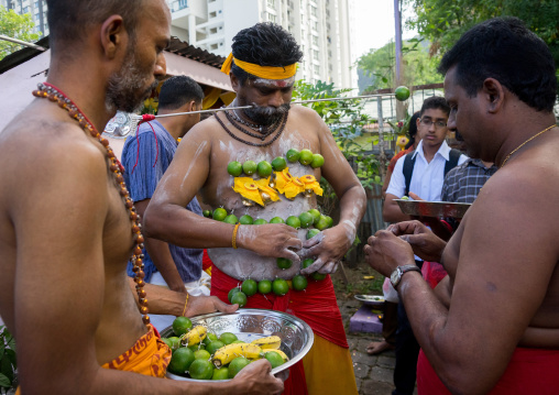 A Pierced Devotee Laden With Lemons On His Belly During The Thaipusam Hindu Festival At Batu Caves, Southeast Asia, Kuala Lumpur, Malaysia