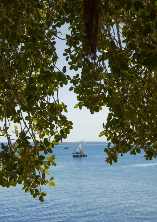 Dhow Sailing, Ilha de Mocambique, Nampula Province, Mozambique