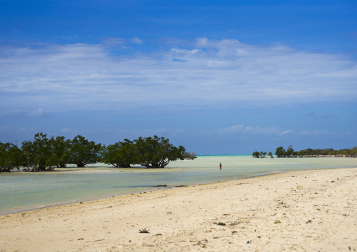Sea And Mangrove, Quirimba Island, Cabo Delgado Province, Mozambique