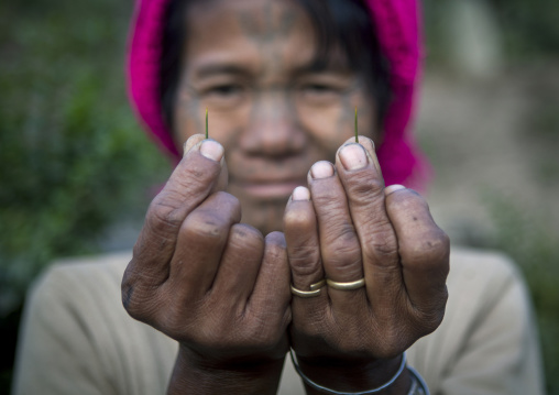 Muun Tribe Woman Showing Spines They Used To Make Tattoos, Mindat, Myanmar