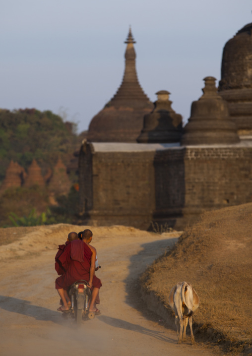 Monks On A Motorcycle Passing In Front Of A Buddhist Temple, Mrauk U, Myanmar