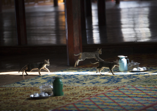 Sasanayaunggyi Monastery With Jumping Cats, Inle Lake, Myanmar