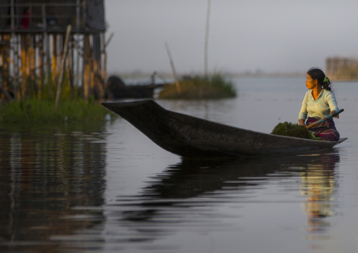 Woman Rowing In A Boat, Inle Lake, Myanmar