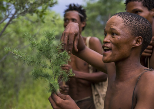 Bushmen In The Bush, Tsumkwe, Namibia