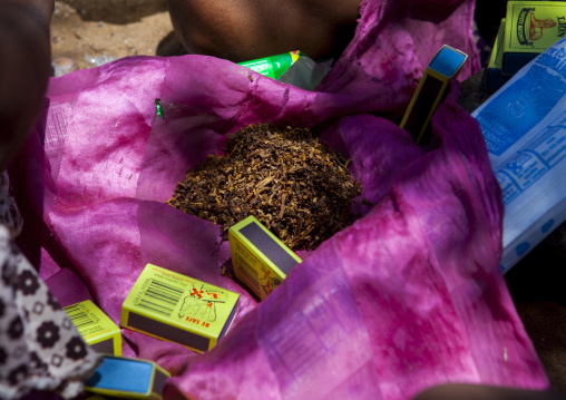 Group Of Bushman Woman Sharing Tobacco, Tsumkwe, Namibia