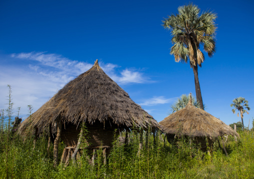 Granaries, Ondangwa, Namibia