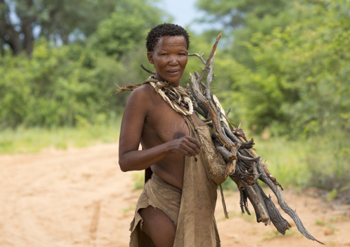 Bushman Woman Carrying Wood, Tsumkwe, Namibia